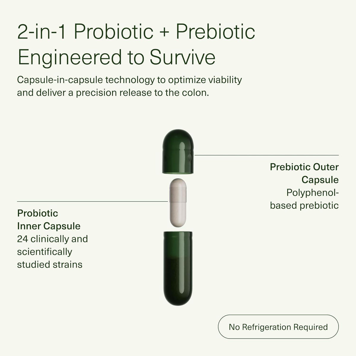 Seed Seed DS-01 Daily Synbiotic - Prebiotic And Probiotic For Women And Men - Digestive Health, Gut Health, Immune Support, Bloating And Constipation Relief - Vegan And Shelf-Stable - 60 Capsules (30-Day Supply)