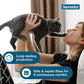 Seresto Cat Flea and Tick Collar Vet Recommended 8 Month Protection Waterproof and Odorless for Cats and Kittens