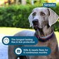 Seresto Large Dog Flea & Tick Collar, 8 Months Protection, Vet Recommended for Dogs Over 18 lbs