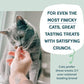 Shameless Pets Digestive Cat Treats, 1 Bag, Chicken & Catnip Crunchy Bites, Supports Digestive Health