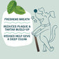 Shameless Pets Toothberry Dental Chews for Dogs Grain Free Treats for Tartar Removal and Fresh Breath