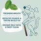 Shameless Pets Toothberry Dog Dental Chews, Grain-Free Dental Sticks, 32 Ct, Fresh Breath Support