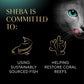 Sheba Perfect Portions Pate Cat Food Chicken and Turkey Variety 2.6 oz Twin Trays 24 Count Pack of 2