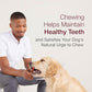 SmartBones Smart Twist Dog Sticks 50 Count Rawhide Free Chews with Peanut Butter Flavor