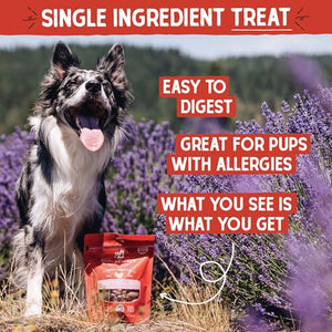 Stella & Chewy's Freeze-Dried Chicken Heart Dog Treats Single Ingredient 11 oz