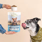 Superfood Complete Air Dried Chicken Adult Dog Food High Protein 24 oz Bag
