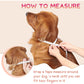 Supet Inflatable Dog Cone Collar for Surgery Recovery Donut Soft E Collar for Small Medium Large Dogs