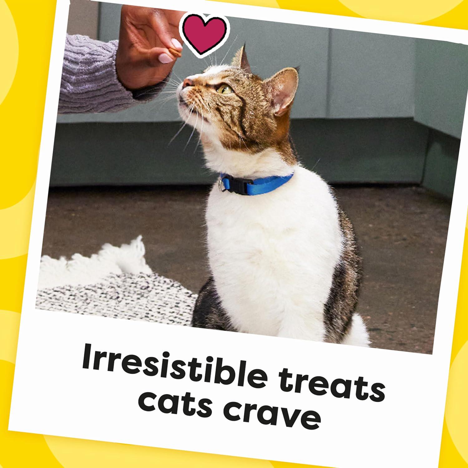 TEMPTATIONS Classic Crunchy And Soft Cat Treats Creamy Dairy Flavor, 16 Oz. Tub,