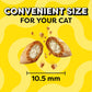 TEMPTATIONS Classic Crunchy And Soft Cat Treats Creamy Dairy Flavor, 16 Oz. Tub,