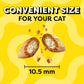 Temptations Cat Treats 2 Pack 16 oz Each Tasty Chicken Crunchy Outside Soft Inside for Training or Reward