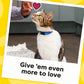 Temptations Jumbo Stuff Cat Treats Crunchy and Soft Chicken Flavor 14 oz Tub
