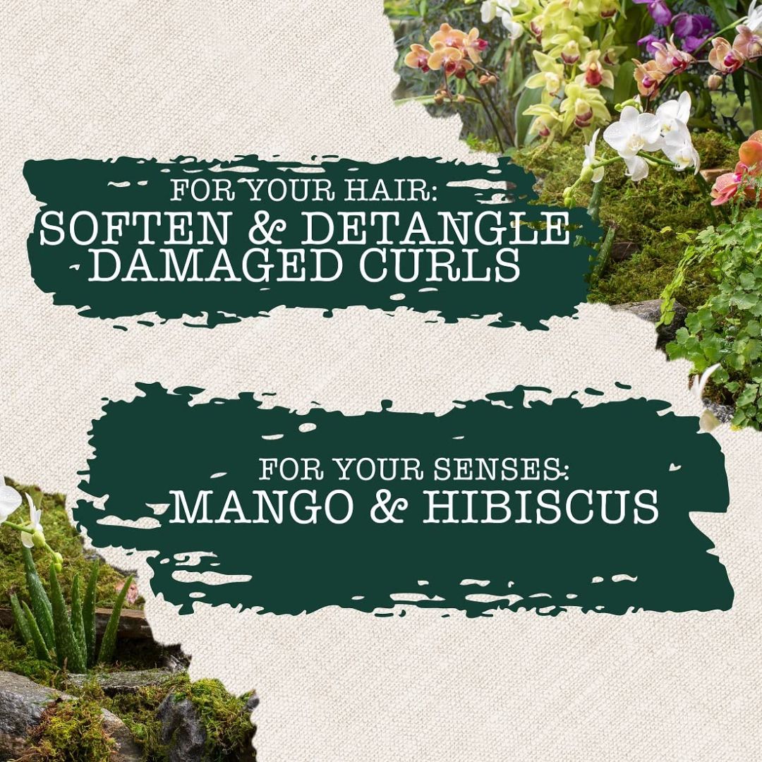 Maui Moisture Daily Hydration + Hibiscus Water Shampoo For All Hair Types 385ml,022796170811