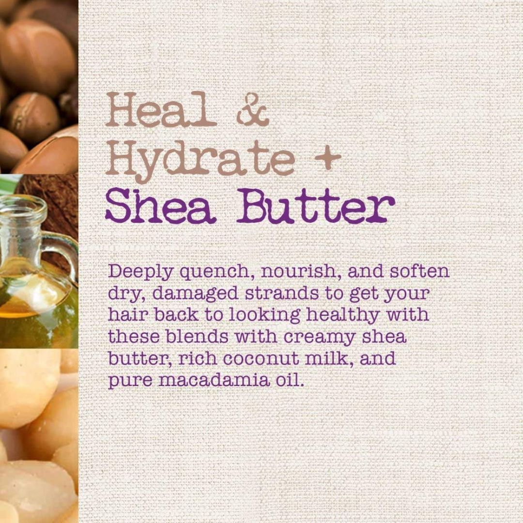 Maui Moisture Revive & Hydrate + Shea Butter Shampoo For Dry, Damaged Hair 385ml,022796170118