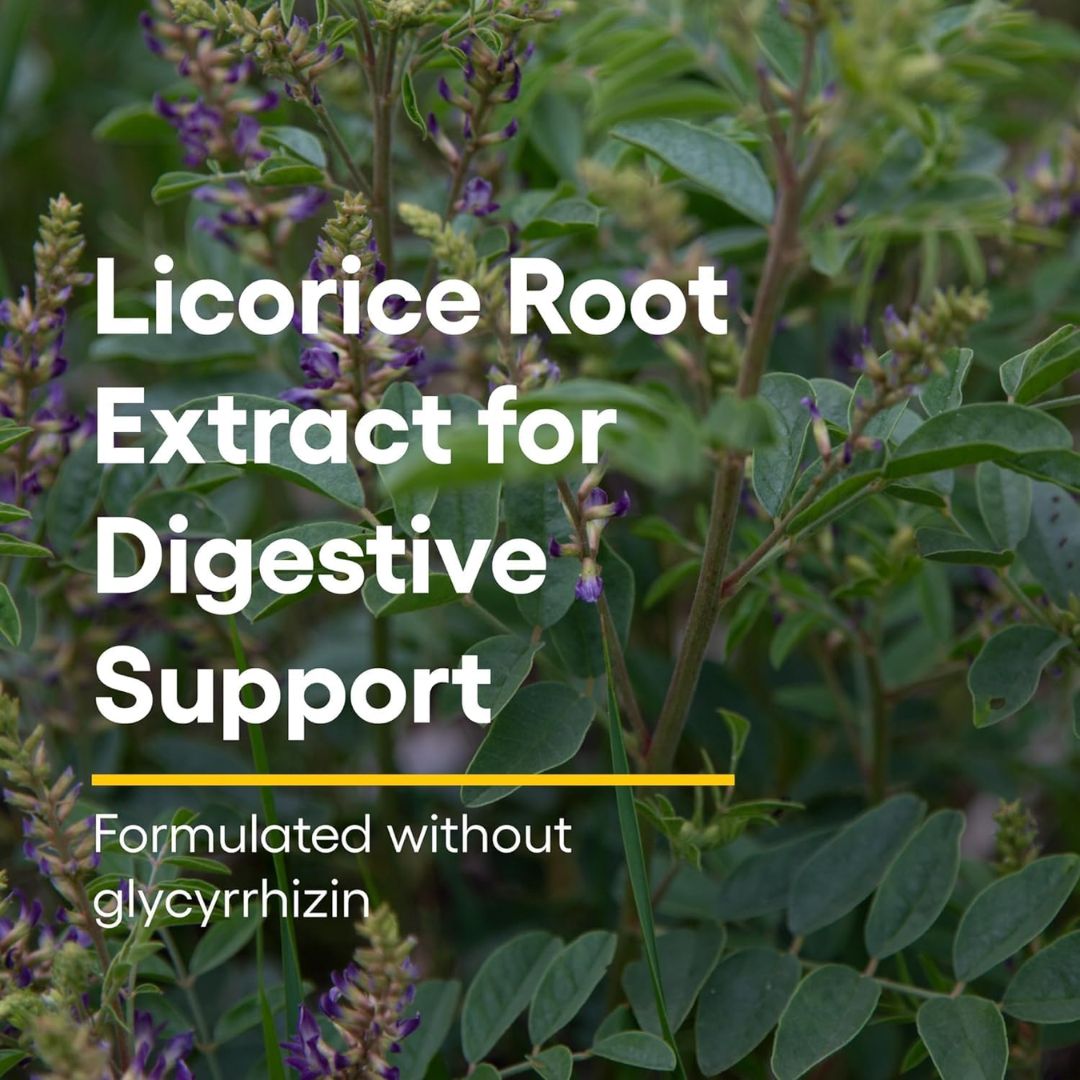 Natural Factors DGL Degltcyrrhizinated Licorice Root Extract 90 Chewable Tablets,068958045085