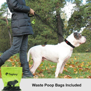 Taglory Dog Leash, 6?ft, 1.2” Wide Rope with Padded Handle & Reflective Threads, Black, For Medium/Large Dogs