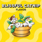 Temptations Cat Treats Blissful Catnip Flavor 16 oz Tub Crunchy Outside Soft Inside Snack for Cats