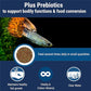 TetraMin Tropical Flakes Fish Food 7.06 oz Nutritionally Balanced Daily Feed for Aquarium Fish