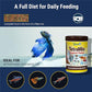 TetraMin Tropical Flakes Fish Food 7.06 oz Nutritionally Balanced Daily Feed for Aquarium Fish