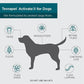 TevraPet Activate II Flea & Tick Drops for Dogs Over 55 lbs, 4 Month Supply, Waterproof Treatment