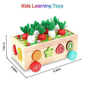 Montessori Shape Sorting Wooden Toys for Toddlers 1 3 Year Old Fine Motor Skills Development