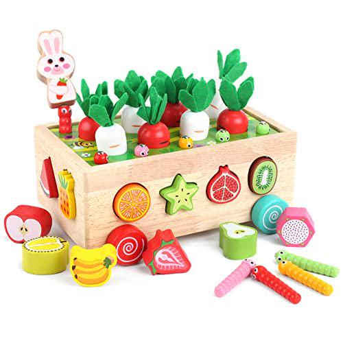Montessori Shape Sorting Wooden Toys for Toddlers 1 3 Year Old Fine Motor Skills Development