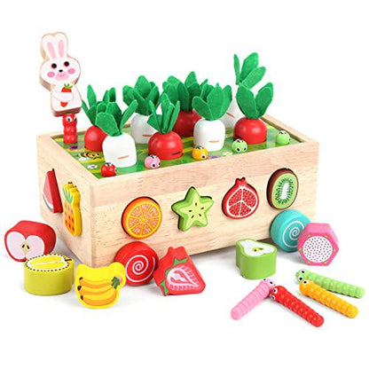 Montessori Shape Sorting Wooden Toys for Toddlers 1 3 Year Old Fine Motor Skills Development