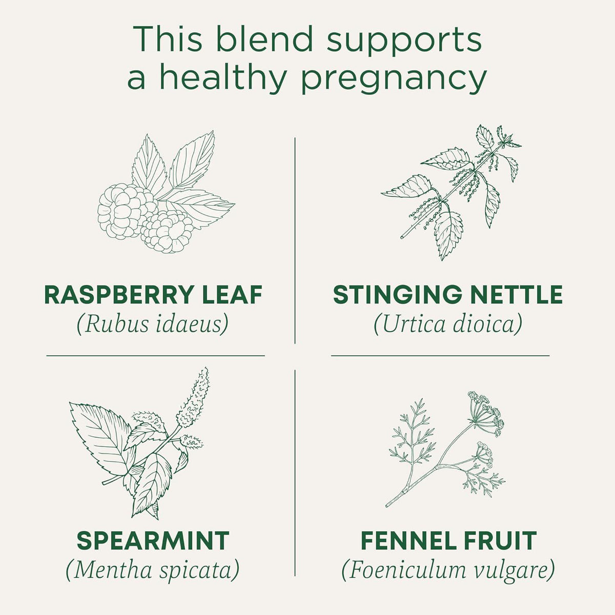 Traditional Medicinals Traditional Medicinals Tea, Organic Pregnancy Tea, Supports A Healthy Pregnancy, Raspberry Leaf, 16 Tea Bags