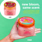 Tree Hut Pink Hibiscus Shea Sugar Scrub | Exfoliating Body Scrub Removes Dead, Dry Skin For A Soft And Hydrated Feel | Nourishing Essential Body Care | 18 Fl Oz.,
