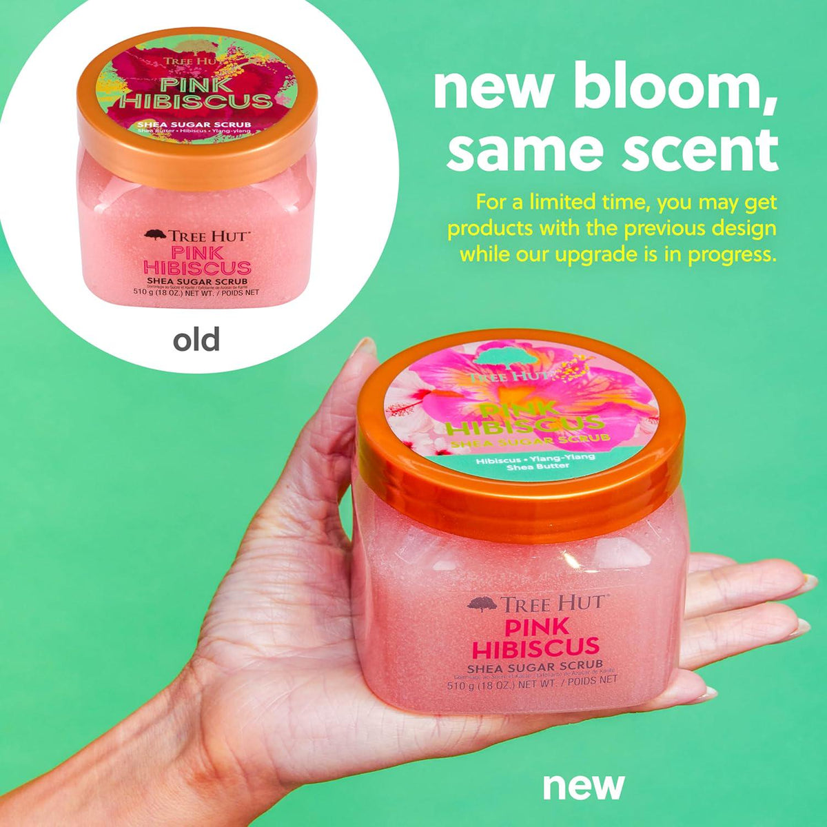 Tree Hut Pink Hibiscus Shea Sugar Scrub | Exfoliating Body Scrub Removes Dead, Dry Skin For A Soft And Hydrated Feel | Nourishing Essential Body Care | 18 Fl Oz.,