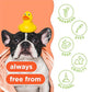 TropiClean 2 in 1 Dog Shampoo and Conditioner Papaya Scent 20 oz Moisturizing Detangler Puppy Safe