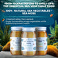 TrueSeaMoss Wildcrafted Irish Sea Moss Gel, Made with Dried Seaweed, Antioxidant-Rich, Vegan-Friendly, Original, 1 Pack