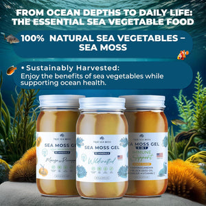 TrueSeaMoss Wildcrafted Irish Sea Moss Gel, Made with Dried Seaweed, Antioxidant-Rich, Vegan-Friendly, Original, 1 Pack