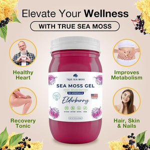 TrueSeaMoss Wildcrafted Irish Sea Moss Gel, Made with Dried Seaweed & Fresh Sea Vegetables, Made in USA, Elderberry, Pack of 1