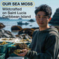 TrueSeaMoss Wildcrafted Irish Sea Moss Gel, Made with Dried Seaweed, Antioxidant-Rich, Vegan-Friendly, Original, 1 Pack