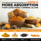 Nature's Nutrition Turmeric Curcumin Supplement, 1950mg, Organic Turmeric & Ginger, 95% Curcuminoids, 120 Capsules, Vegan Joint Support