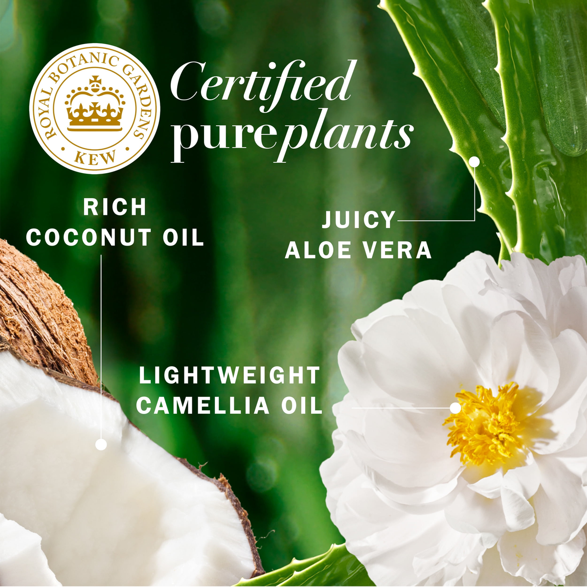 Herbal Essences Bio:Renew Coconut Milk Hydrate Shampoo & Conditioner 400ml,8001090222428,