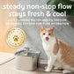Veken Stainless Steel Cat Water Fountain, 95?oz Auto Pet Fountain, Silver, Award-Winner, With Filters & Silicone Mat