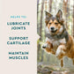 VetIQ Hip and Joint Supplement Soft Chews for Dogs with MSM Krill Chicken Flavor 180 Count