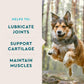 VetIQ Hip and Joint Soft Chews for Dogs 60 Count Chicken Flavor with Glucosamine MSM and Krill for Mobility and Inflammation