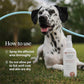 Veterinary Formula Hot Spot and Itch Relief Spray 8 oz Soothing Spray for Dogs and Cats