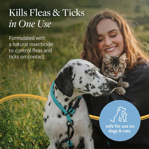 Veterinary Formula Flea and Tick Shampoo for Dogs and Cats 16 oz Pest Control Wash