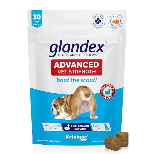 Vetnique Glandex Anal Gland Chews with Pumpkin for Dogs Duck and Bacon Flavor 30 Soft Chews
