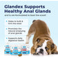 Vetnique Glandex Boot the Scoot 60 Soft Chews for Dogs Peanut Butter Flavor Digestive Fiber Probiotic