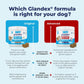 Vetnique Glandex Boot the Scoot 60 Soft Chews for Dogs Peanut Butter Flavor Digestive Fiber Probiotic