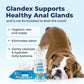 Vetnique Labs Glandex Dog Wipes with Aloe Vitamin E for Anal Gland Hygiene 100 Count Pouch