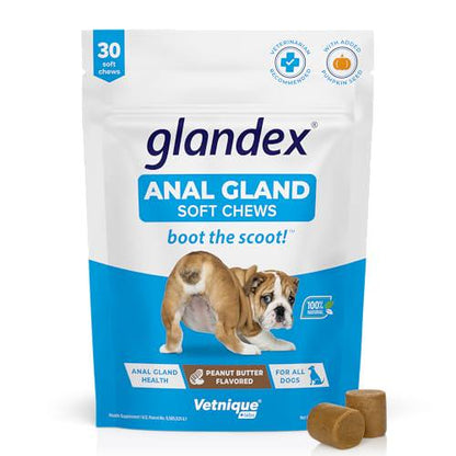 Vetnique Labs Glandex Soft Chews for Dogs, 30 Ct, Pumpkin, Probiotic Digestive Support, Boot the Scoot