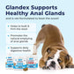 Vetnique Glandex Anal Gland Soft Chews, Digestive & Fiber Supplement for Dogs, Pork Liver, 60 Count