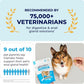 Vetnique Labs Glandex Soft Chews for Dogs, 30 Ct, Pumpkin, Probiotic Digestive Support, Boot the Scoot