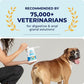 Vetnique Glandex Cleansing Wipes 75 Count for Dogs and Cats with Aloe Vitamin E and Skin Conditioners