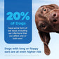 Vetnique OticBliss Cat and Dog Ear Drops with Hydrocortisone for Itchy Ears 1 oz